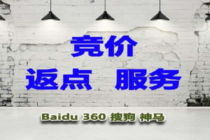 精准投放，高效转化：关键词竞价排名案例解析